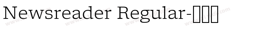 Newsreader Regular字体转换